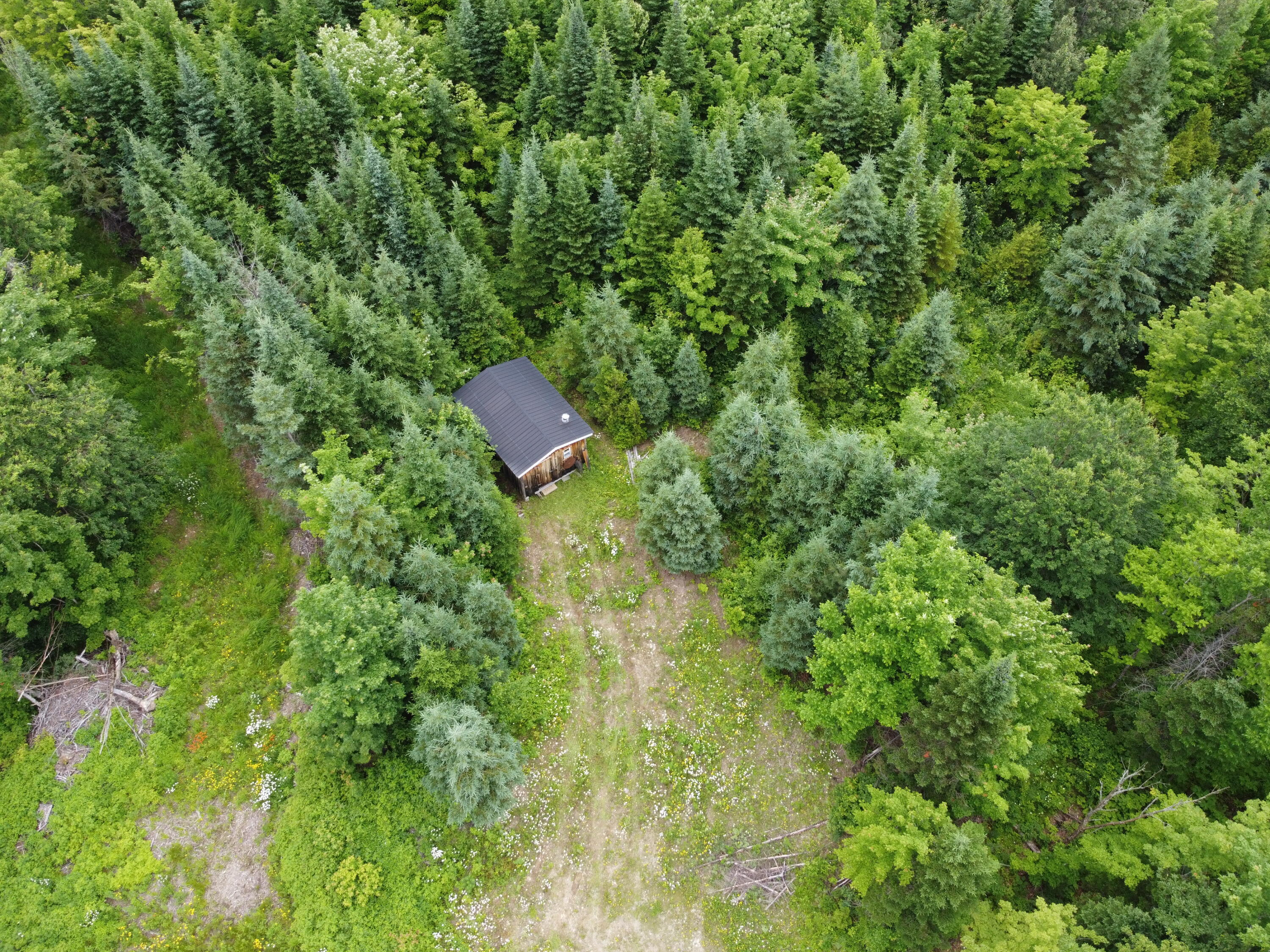 M7-l14 High Meadow Road Perham, ME 04766 - Photo 2 of 22 DJI_0612