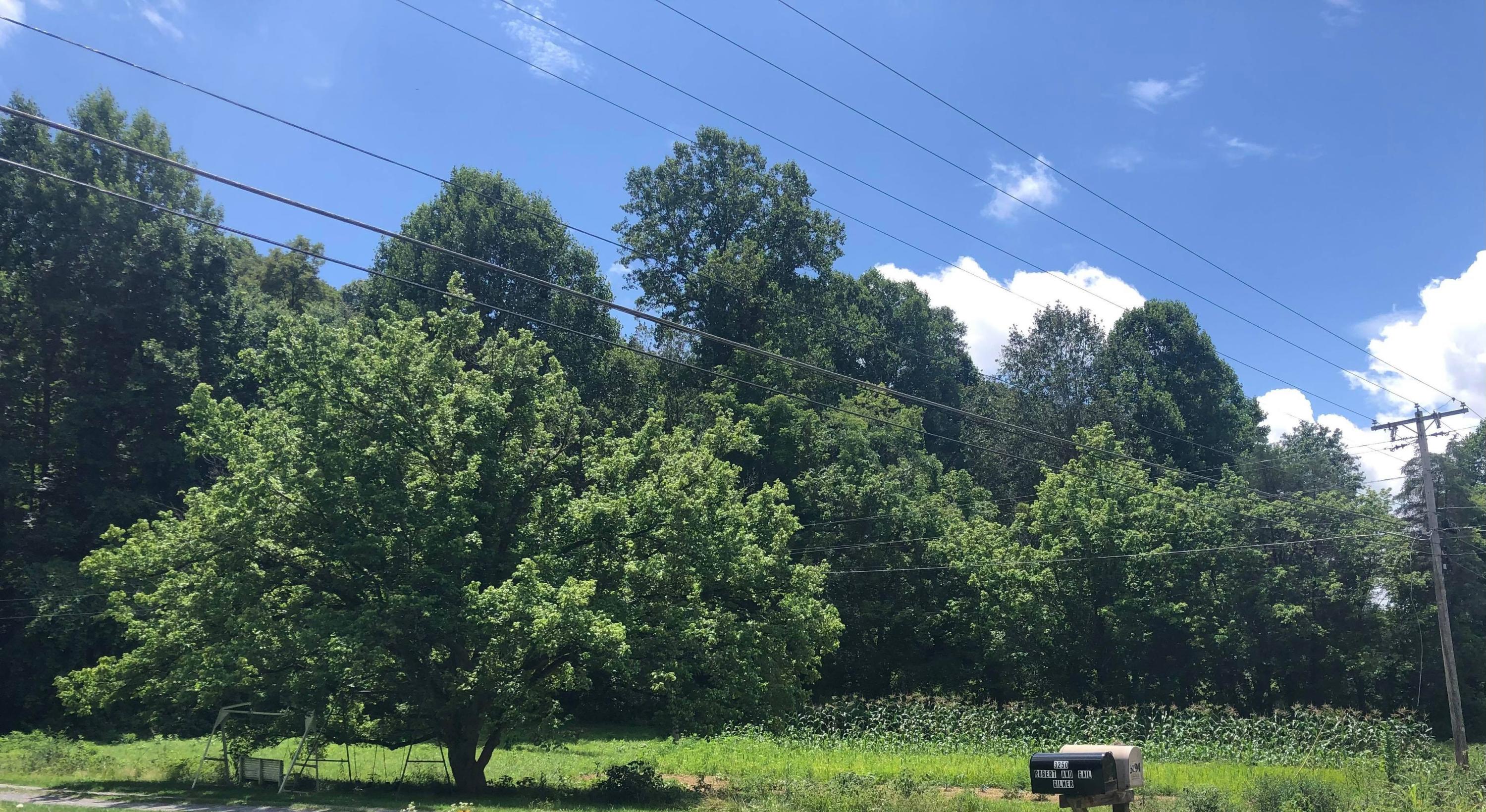 1426 Reedy Creek Road Bristol, TN 37620 - Photo 8 of 33 donnie8