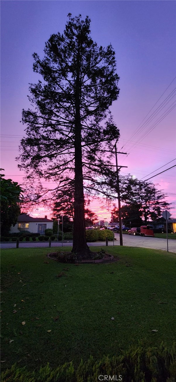 520 West Raymond Street Compton, CA 90220 - Photo 12 of 31 a view of a garden