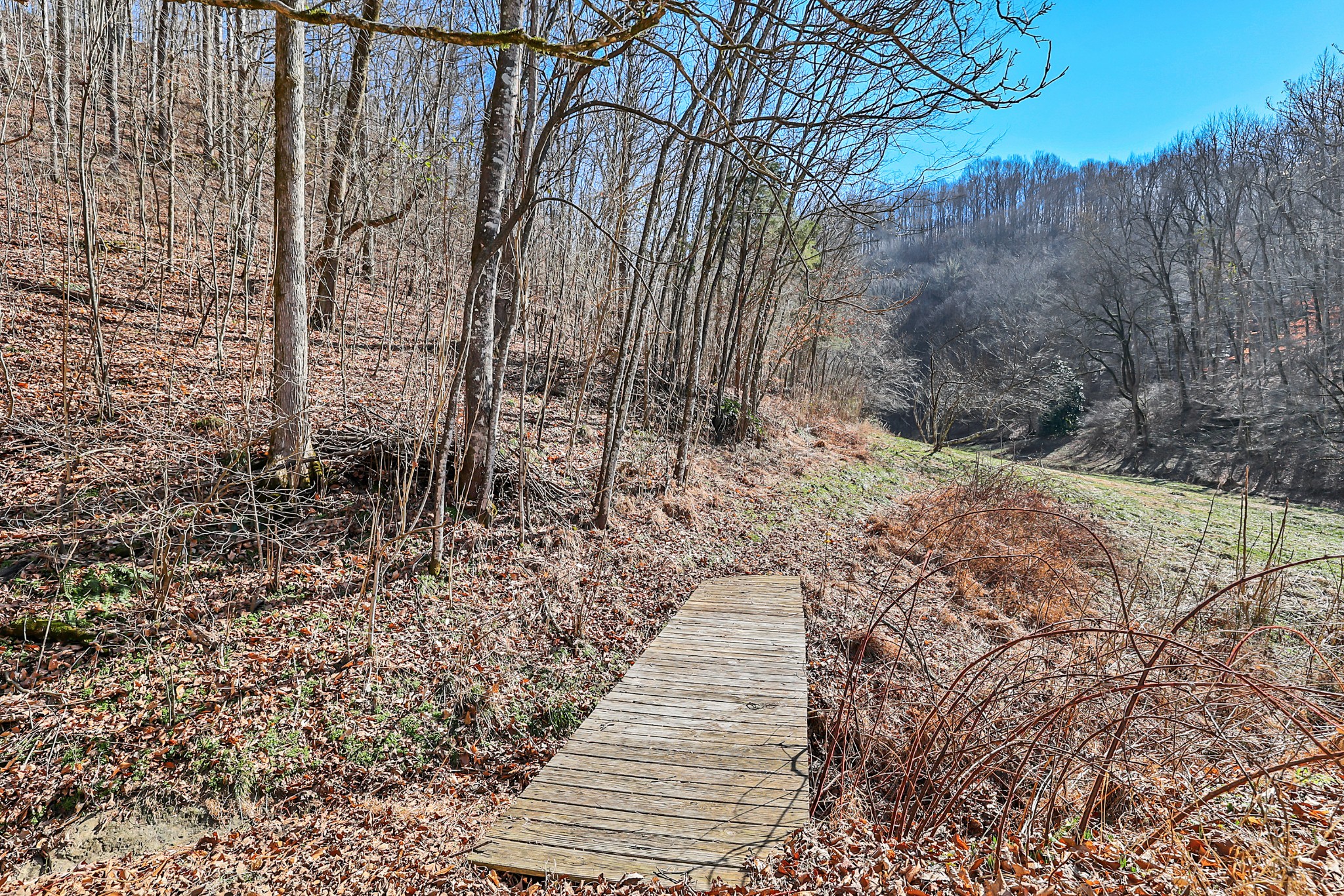 709 Hunting Creek Road Whitleyville, TN 38588 - Photo 31 of 65 Gallery Image 31