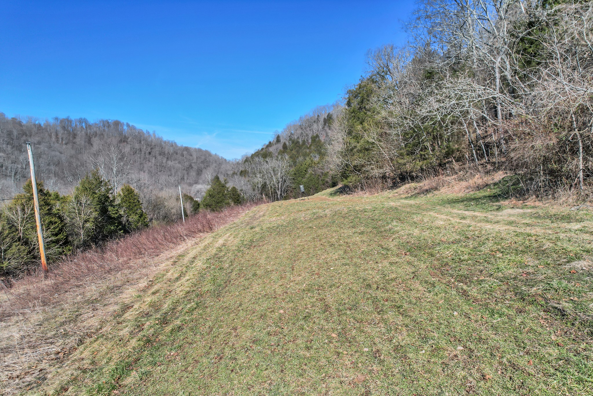 709 Hunting Creek Road Whitleyville, TN 38588 - Photo 33 of 65 Gallery Image 33