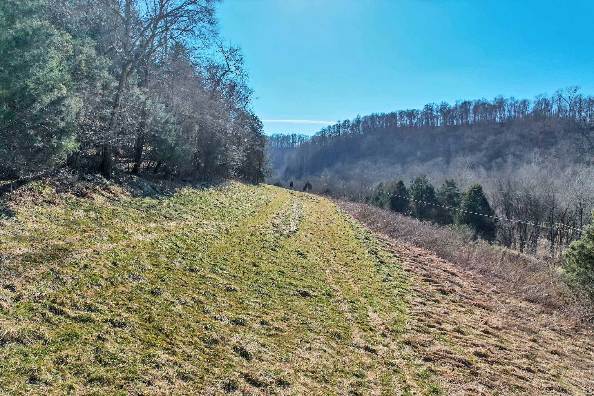 709 Hunting Creek Road Whitleyville, TN 38588 - Photo 34 of 65 Gallery Image 34