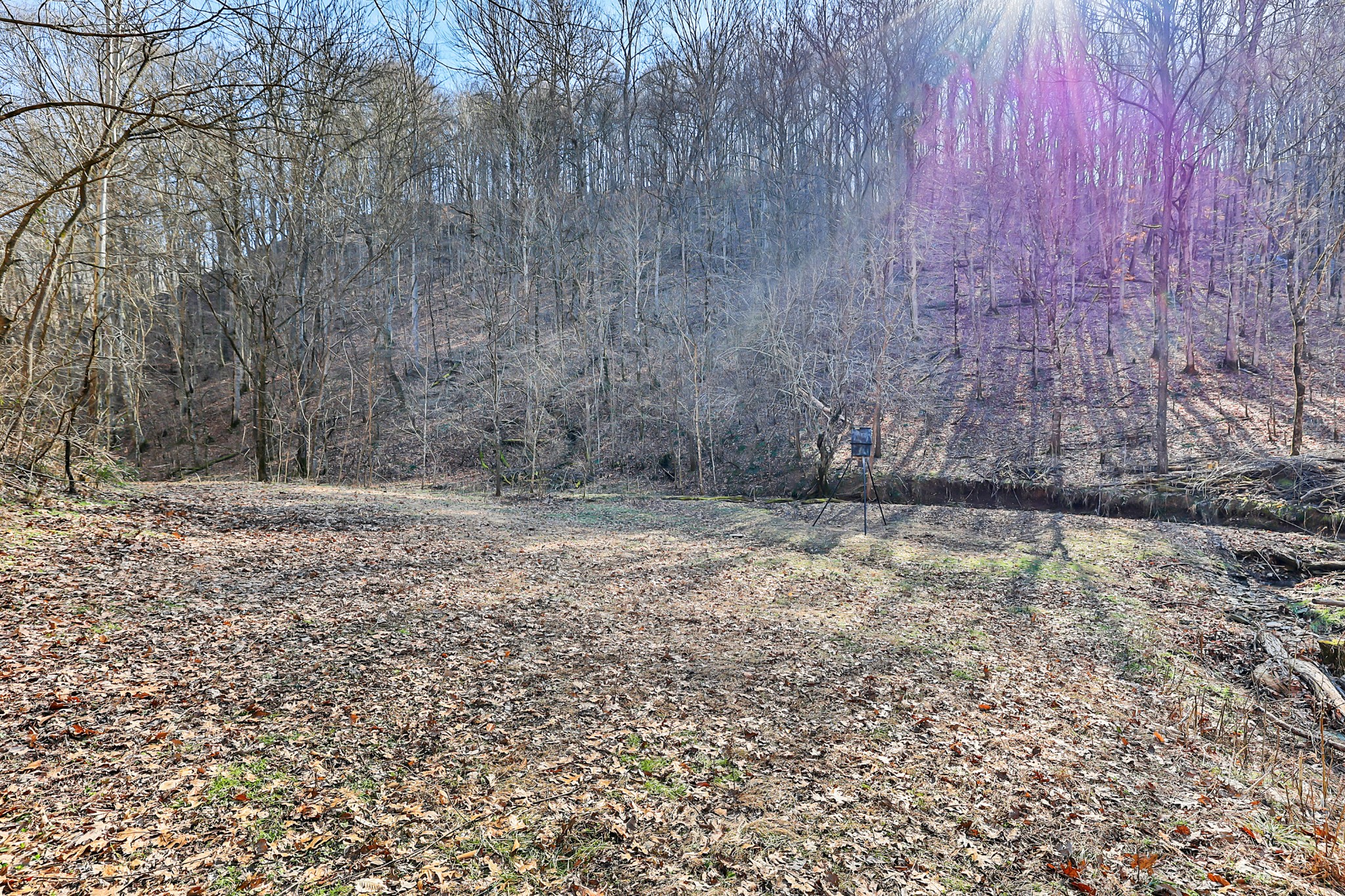 709 Hunting Creek Road Whitleyville, TN 38588 - Photo 35 of 65 Gallery Image 35
