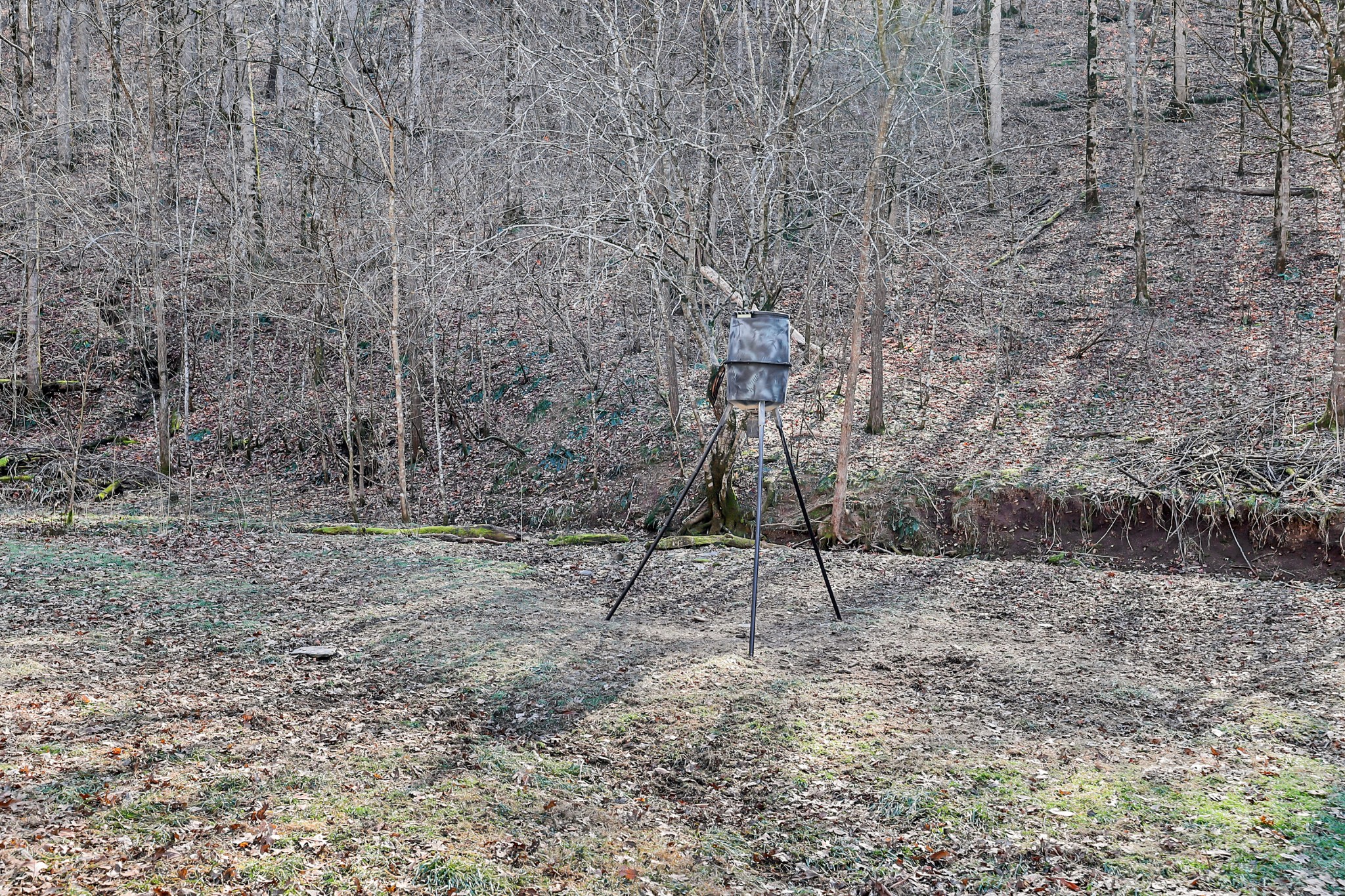 709 Hunting Creek Road Whitleyville, TN 38588 - Photo 36 of 65 Gallery Image 36