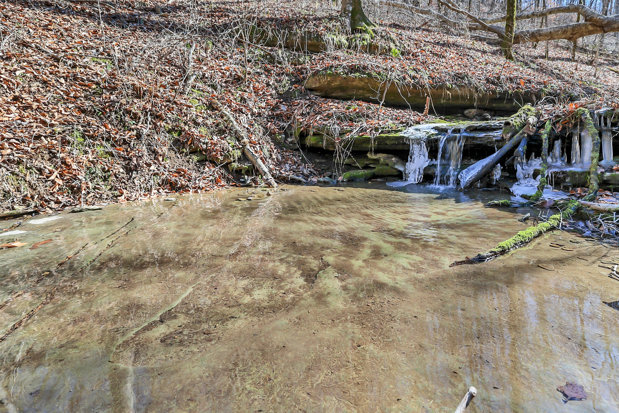 709 Hunting Creek Road Whitleyville, TN 38588 - Photo 45 of 65 Gallery Image 45