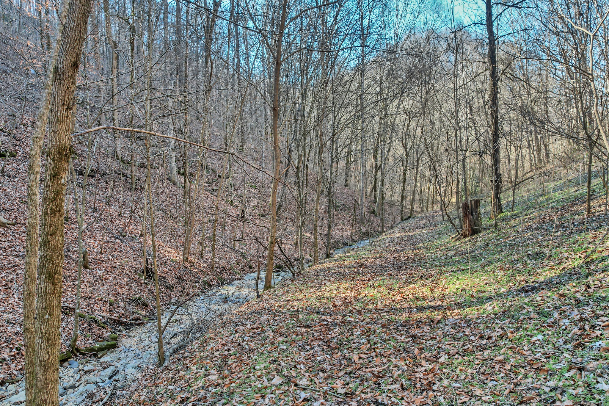 709 Hunting Creek Road Whitleyville, TN 38588 - Photo 52 of 65 Gallery Image 52