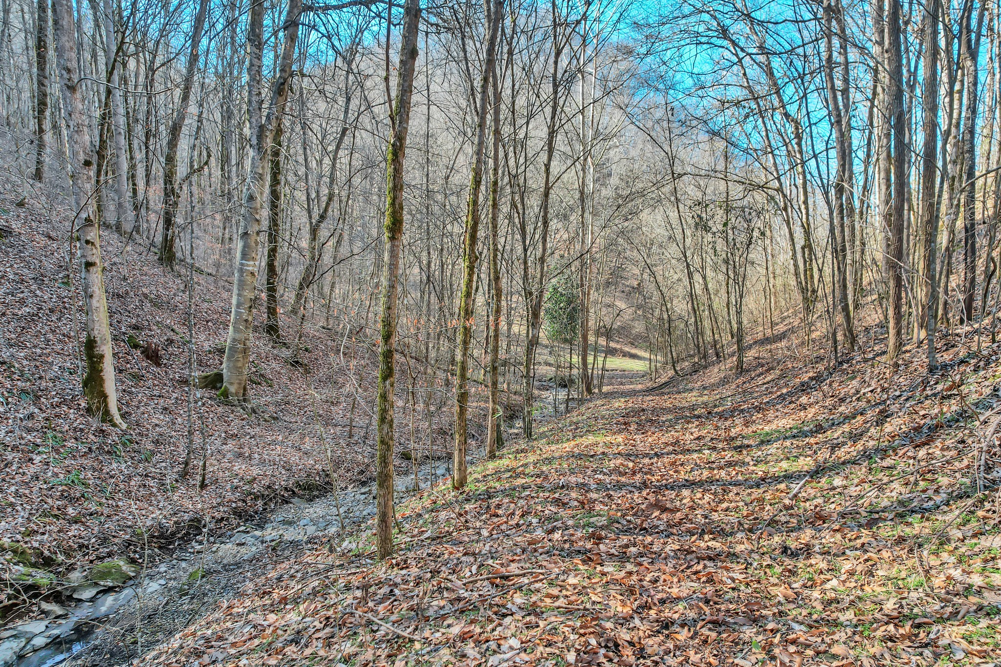 709 Hunting Creek Road Whitleyville, TN 38588 - Photo 53 of 65 Gallery Image 53