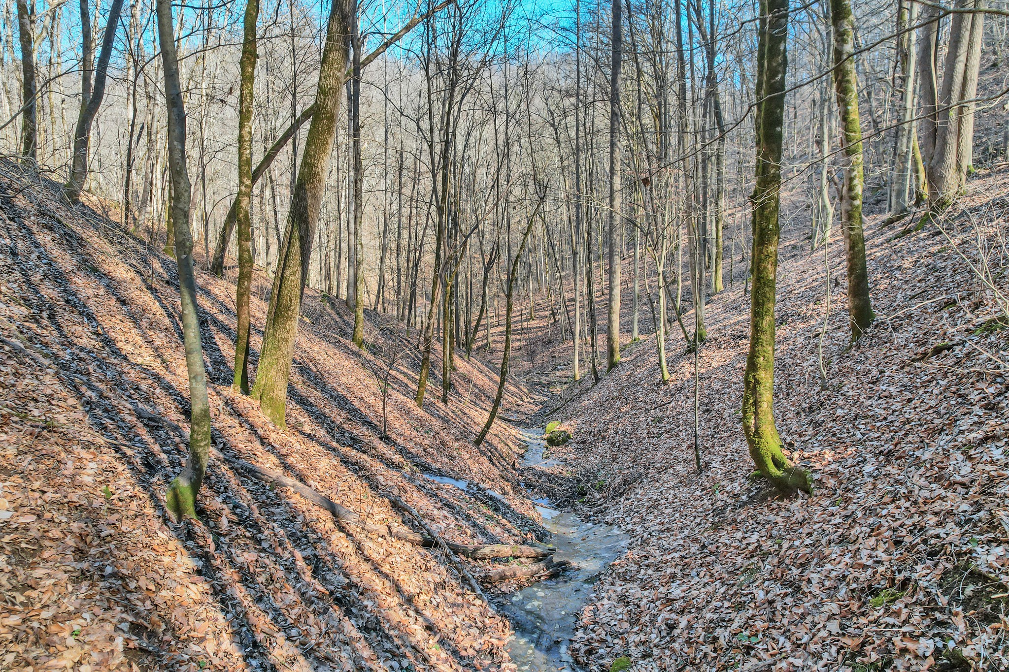 709 Hunting Creek Road Whitleyville, TN 38588 - Photo 55 of 65 Gallery Image 55