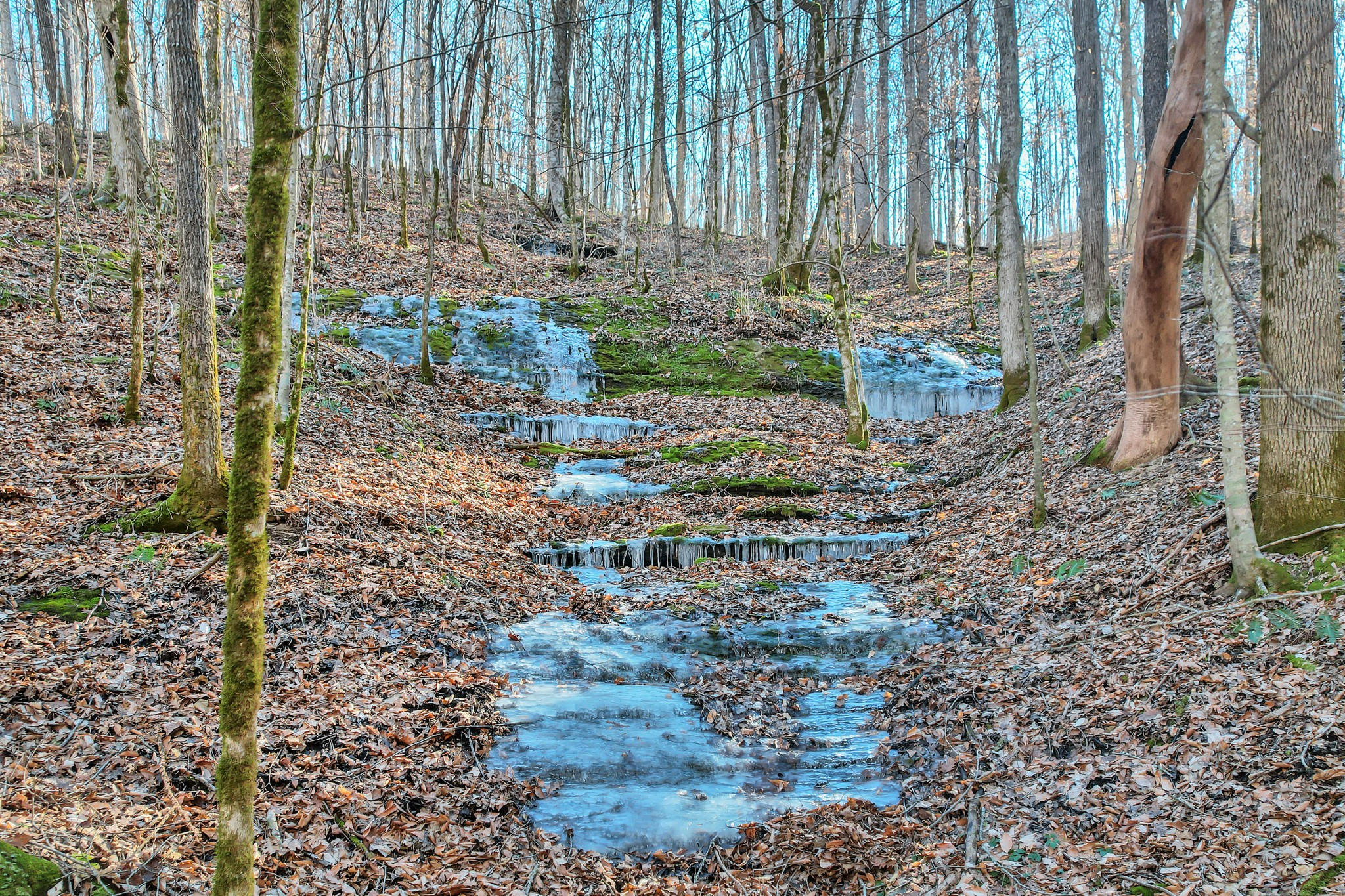709 Hunting Creek Road Whitleyville, TN 38588 - Photo 56 of 65 Gallery Image 56