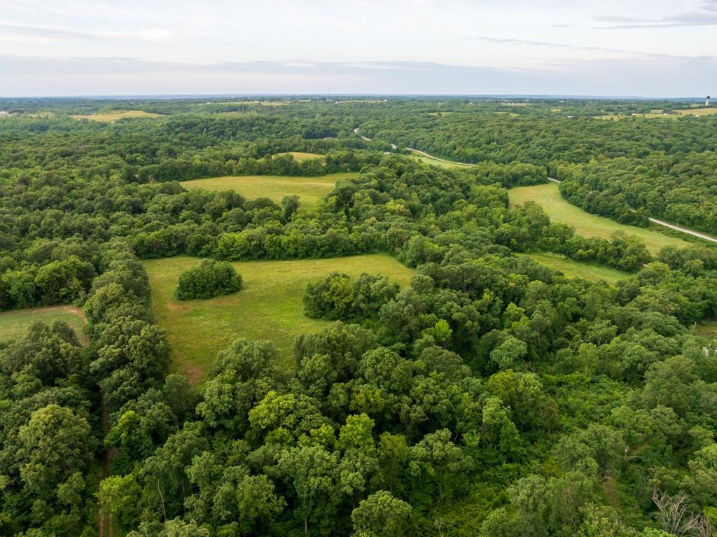 Tbd Norris Road Rayville, MO 64084 - Photo 4 of 35