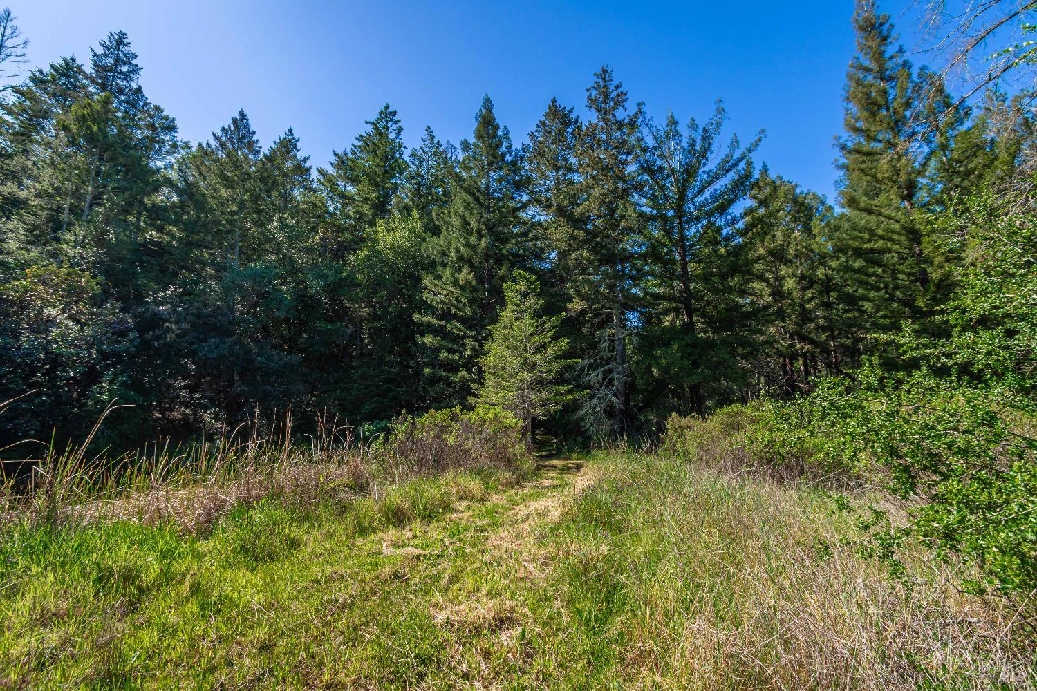 0 Dry Creek Road Napa, CA 94558 - Photo 52 of 98