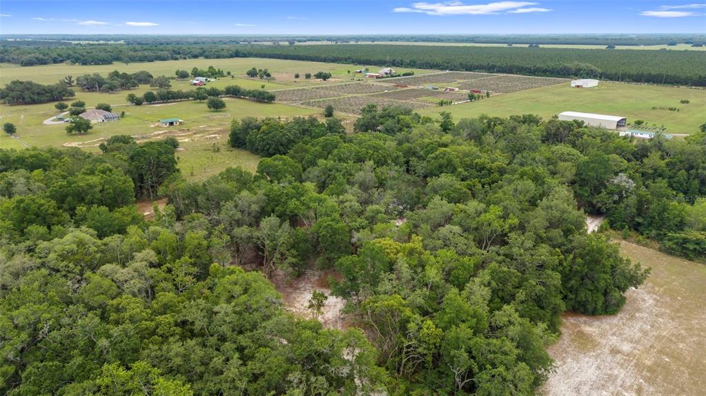 18330 Booming Road Spring Hill, FL 34610 - Photo 34 of 48