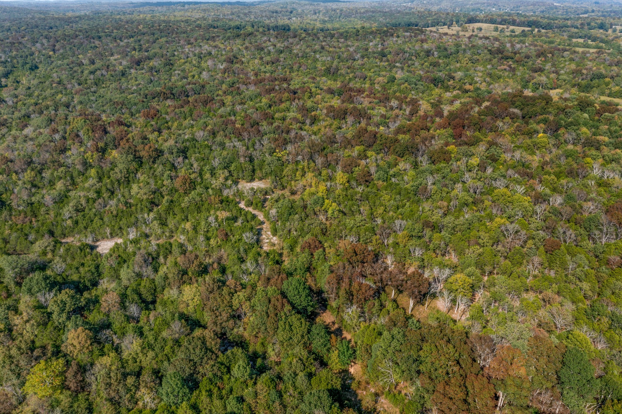 5285 Simmons Bluff Road Lebanon, TN 37090 - Photo 29 of 32 a view of a yard with a tree