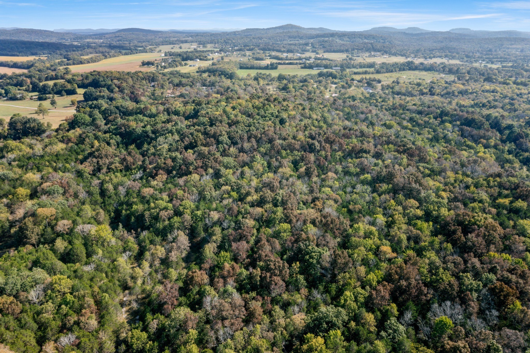 5285 Simmons Bluff Road Lebanon, TN 37090 - Photo 30 of 32 an aerial view of a houses with a lush green hillside