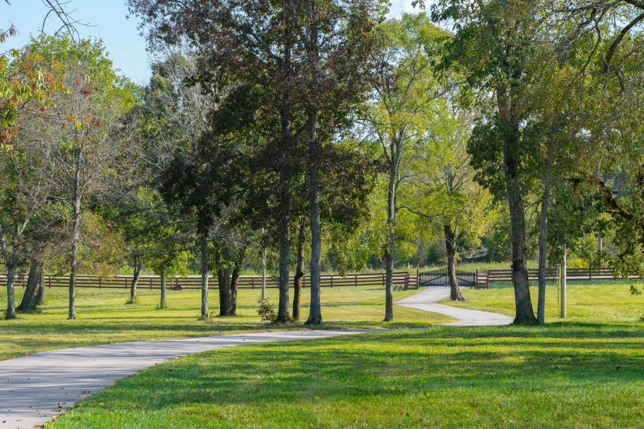 5285 Simmons Bluff Road Lebanon, TN 37090 - Photo 7 of 32 a building with trees in the background