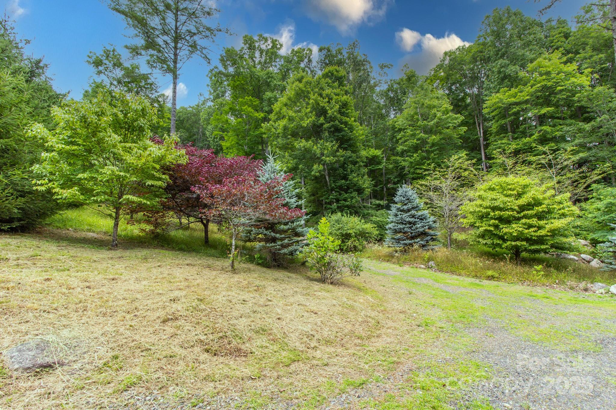 2811 Poplar Creek Road Green Mountain, NC 28740 - Photo 34 of 35 a garden with trees in front of it