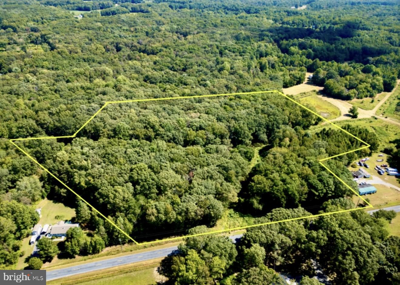 91 Cool Spring Marydel, MD 21649 - Photo 5 of 14 a view of a garden with a plant