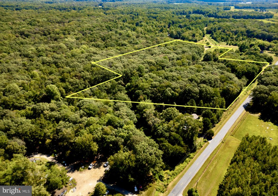 91 Cool Spring Marydel, MD 21649 - Photo 8 of 14 a view of a yard