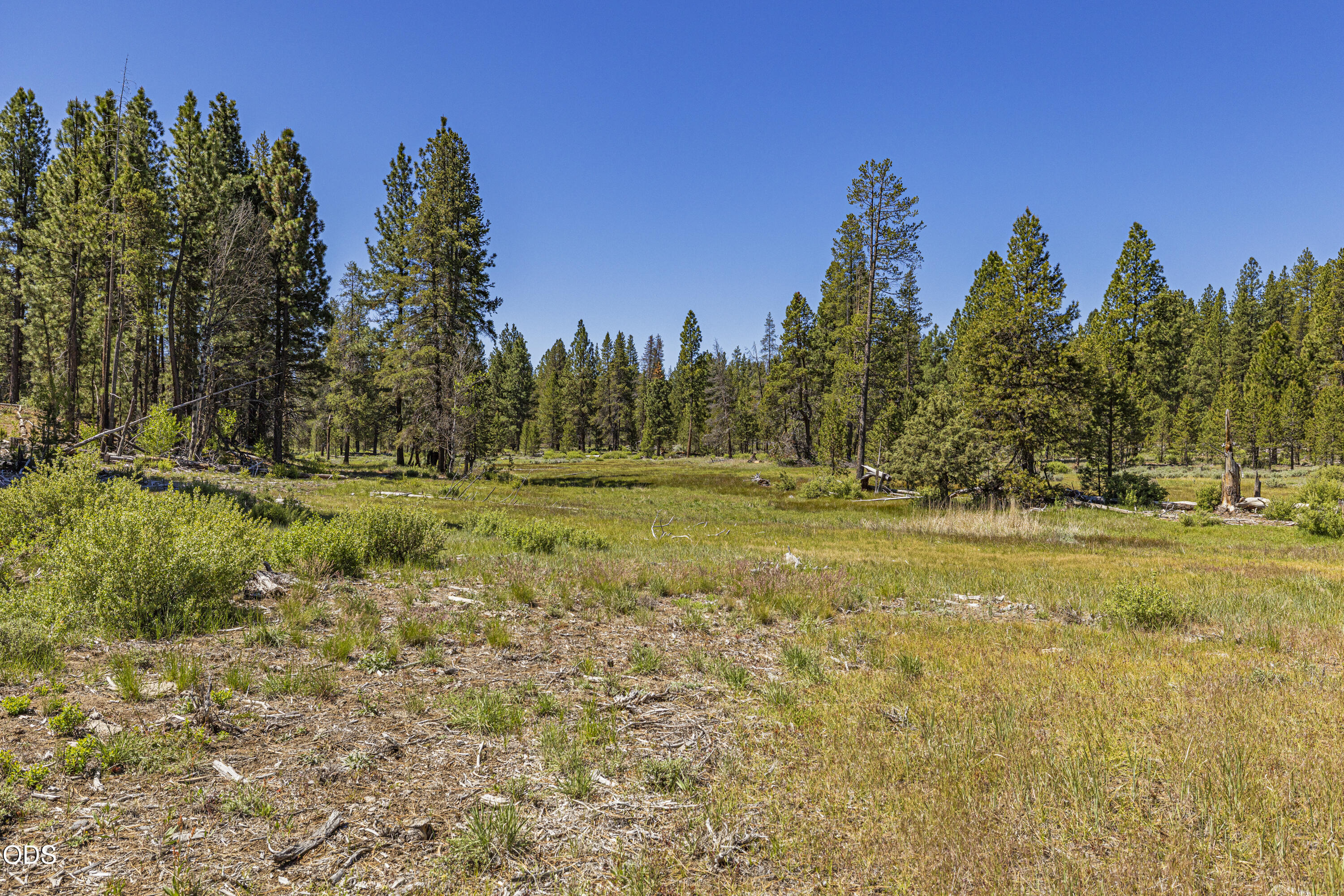 Williamson River Road, Unit 206226 Chiloquin, OR 97624 - Photo 35 of 50