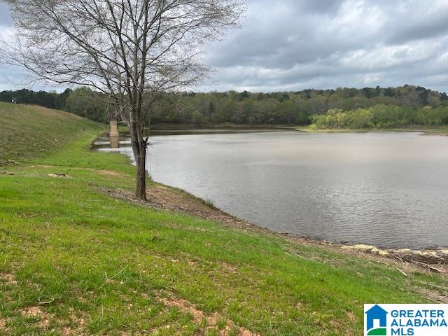Watershed Road, Unit 46 Cragford, AL 36255 - Photo 2 of 11 Gallery Image 2