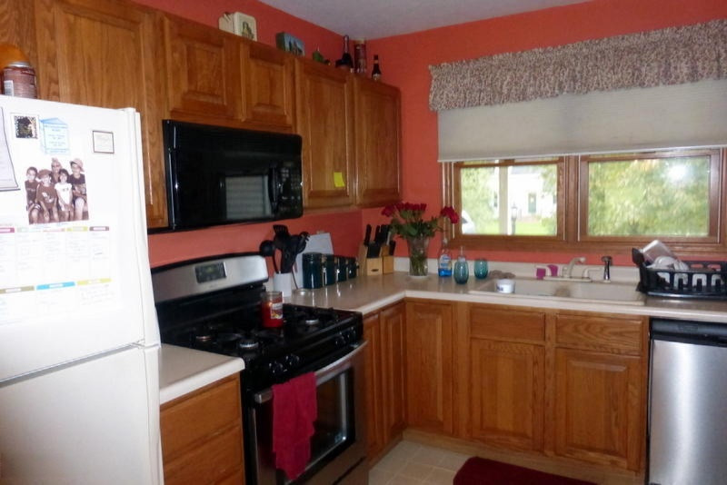 630 Topinabee Road Niles, MI 49120 - Photo 4 of 21 P1020999