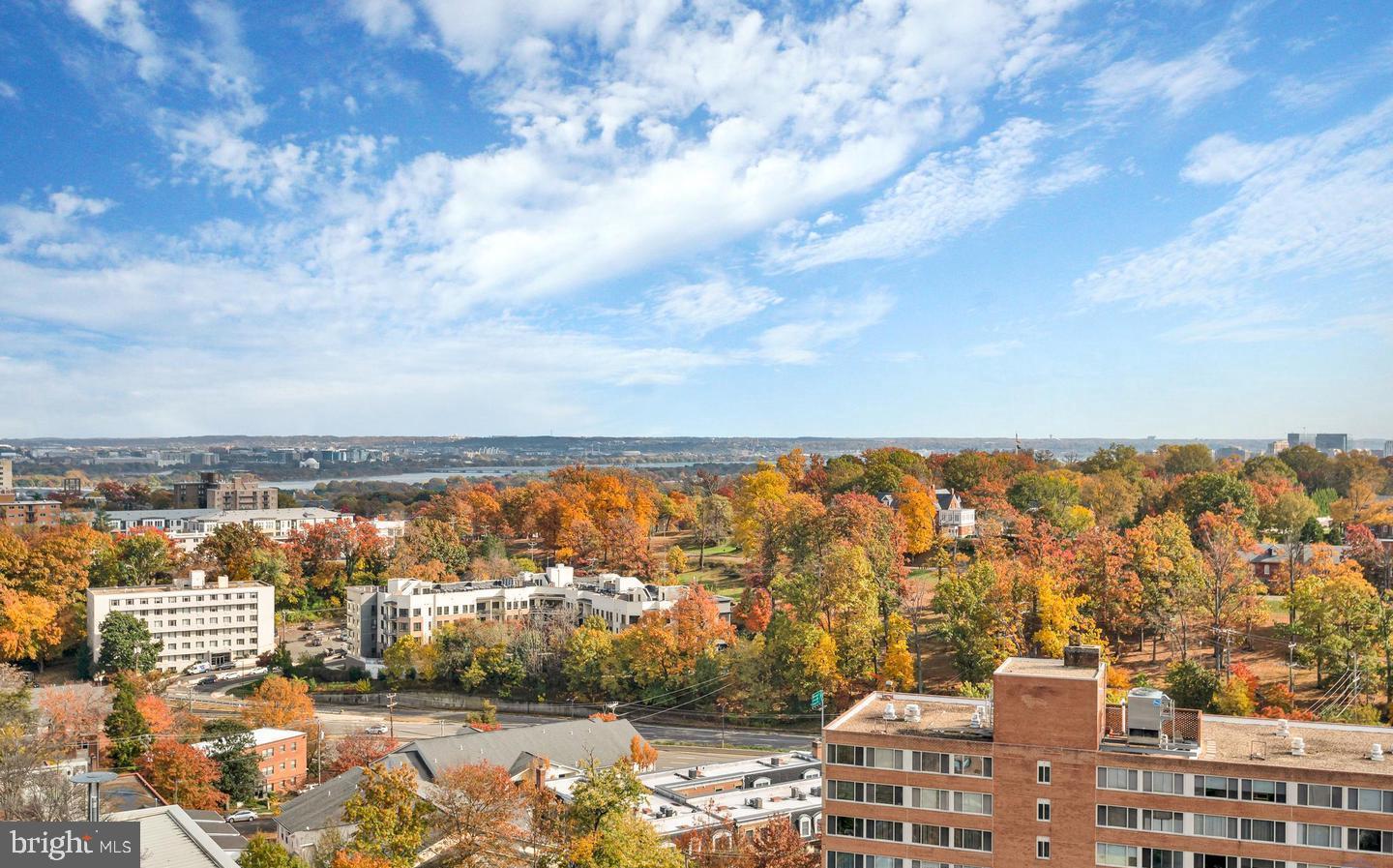 1301 North Courthouse Road, Unit 1010 Arlington, VA 22201 - Photo 37 of 52