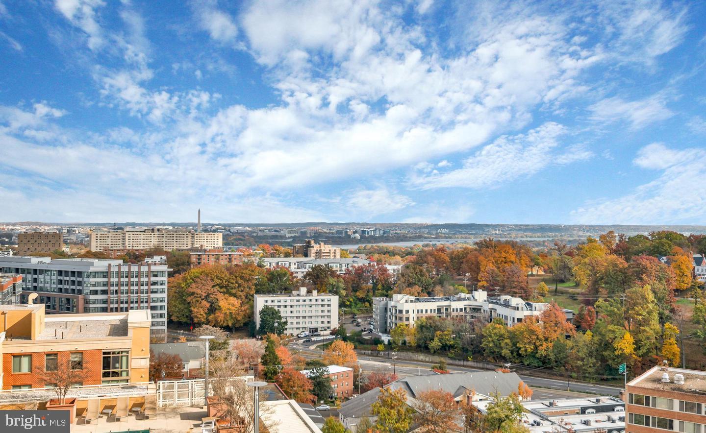 1301 North Courthouse Road, Unit 1010 Arlington, VA 22201 - Photo 38 of 52