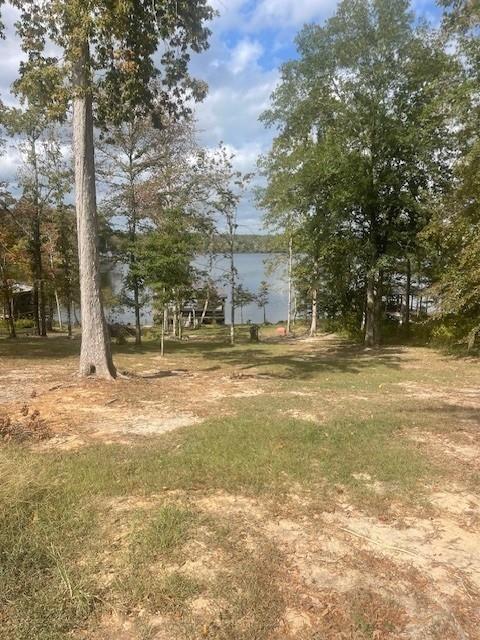 0 Renee's Point Boyce, LA 71409 - Photo 1 of 19 Gallery Image 1