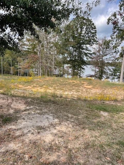 0 Renee's Point Boyce, LA 71409 - Photo 19 of 19 Gallery Image 19