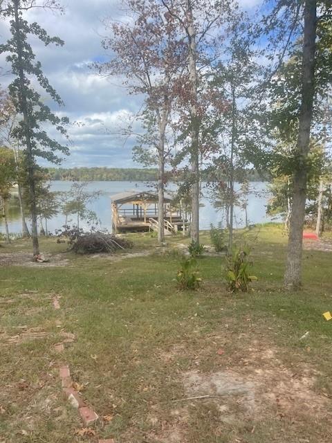 0 Renee's Point Boyce, LA 71409 - Photo 2 of 19 Gallery Image 2