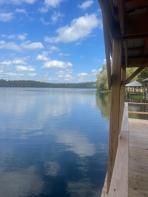 0 Renee's Point Boyce, LA 71409 - Photo 5 of 19 Gallery Image 5