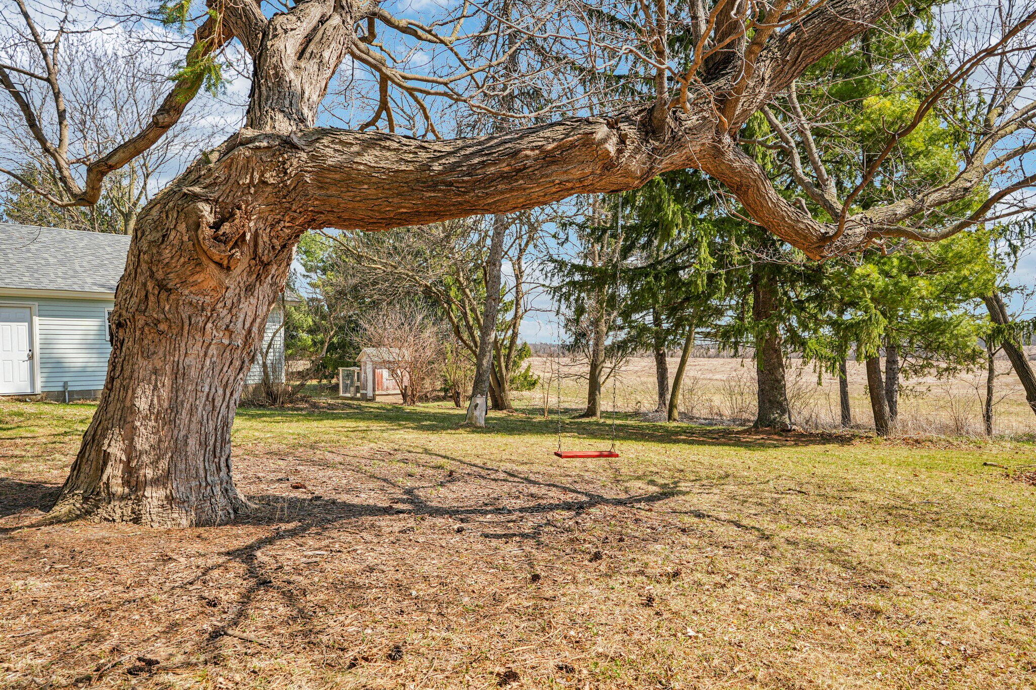 W4669 County Rd A Lafayette, WI 53121 - Photo 51 of 66 Backyard