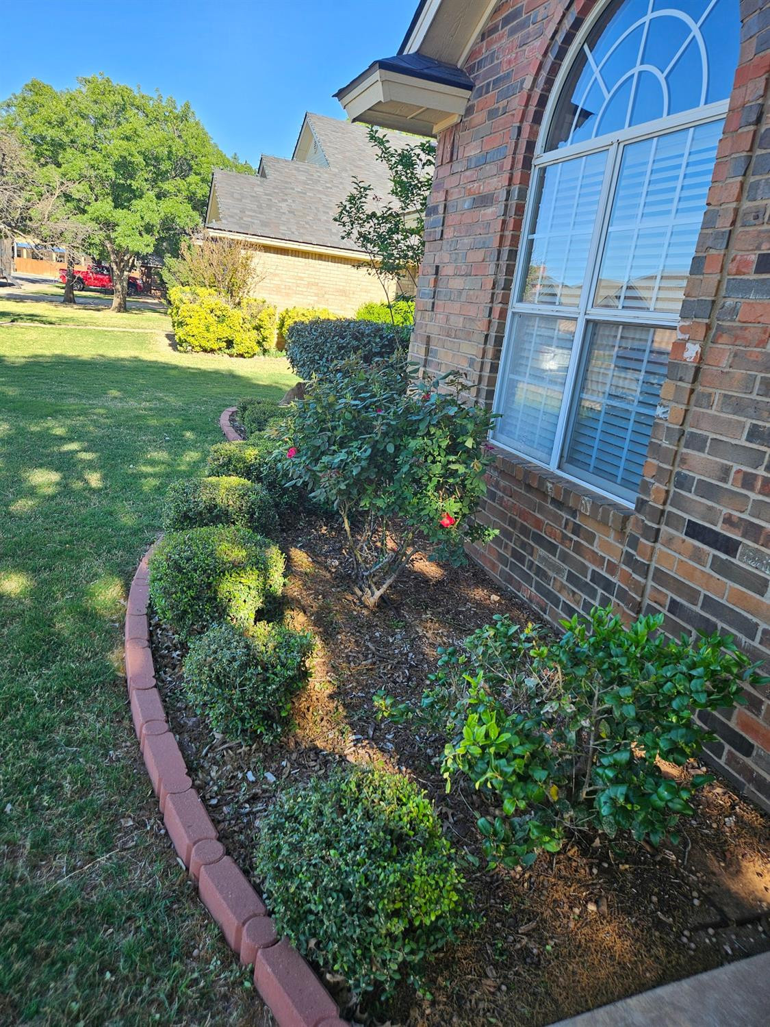 209 Sooner Street Wolfforth, TX 79382 - Photo 4 of 43 Photo 4