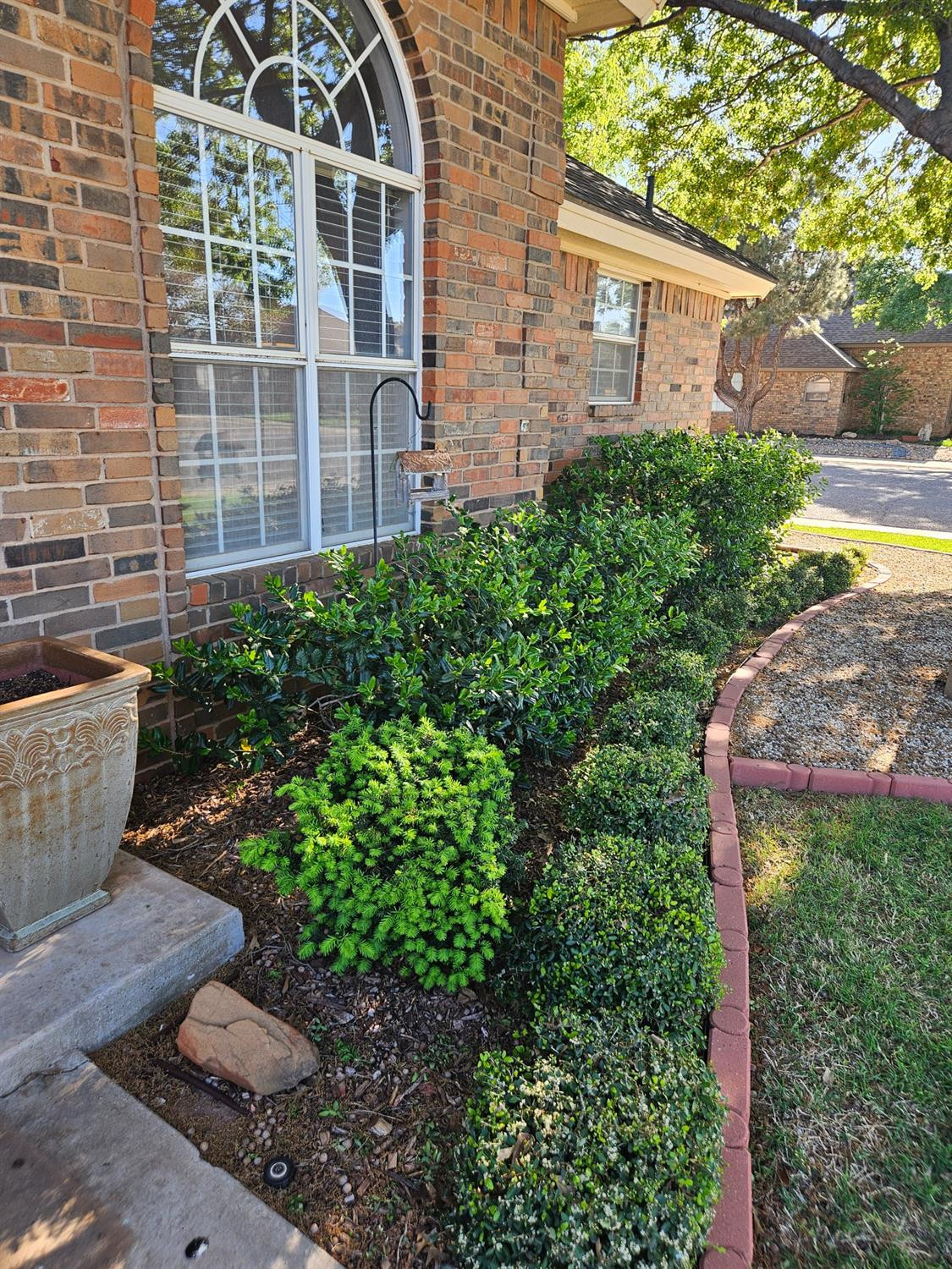 209 Sooner Street Wolfforth, TX 79382 - Photo 5 of 43 Photo 5