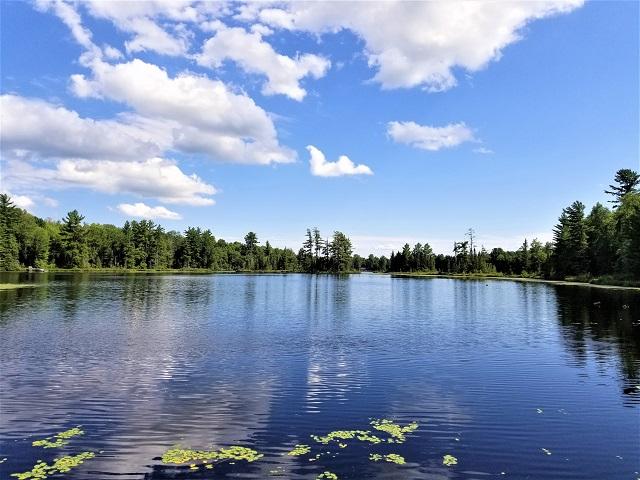 6859 Cramer Lake Road Mercer, WI 54547 - Photo 2 of 33 Gallery Image 2