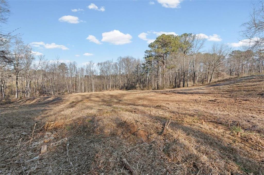 202 Sam House Road Bremen, GA 30110 - Photo 33 of 49