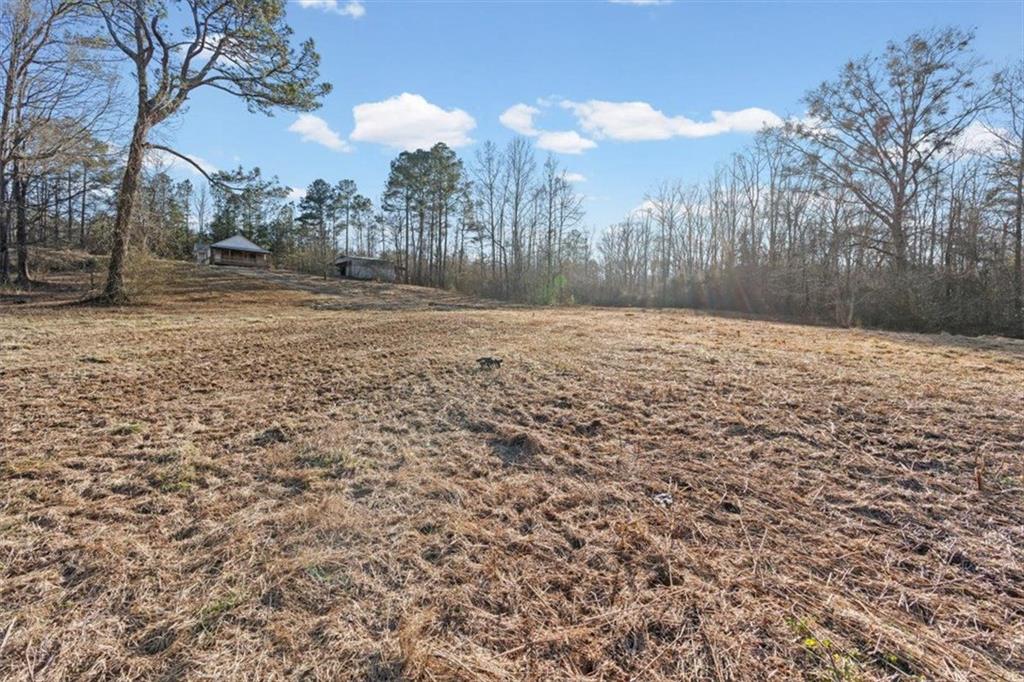 202 Sam House Road Bremen, GA 30110 - Photo 34 of 49