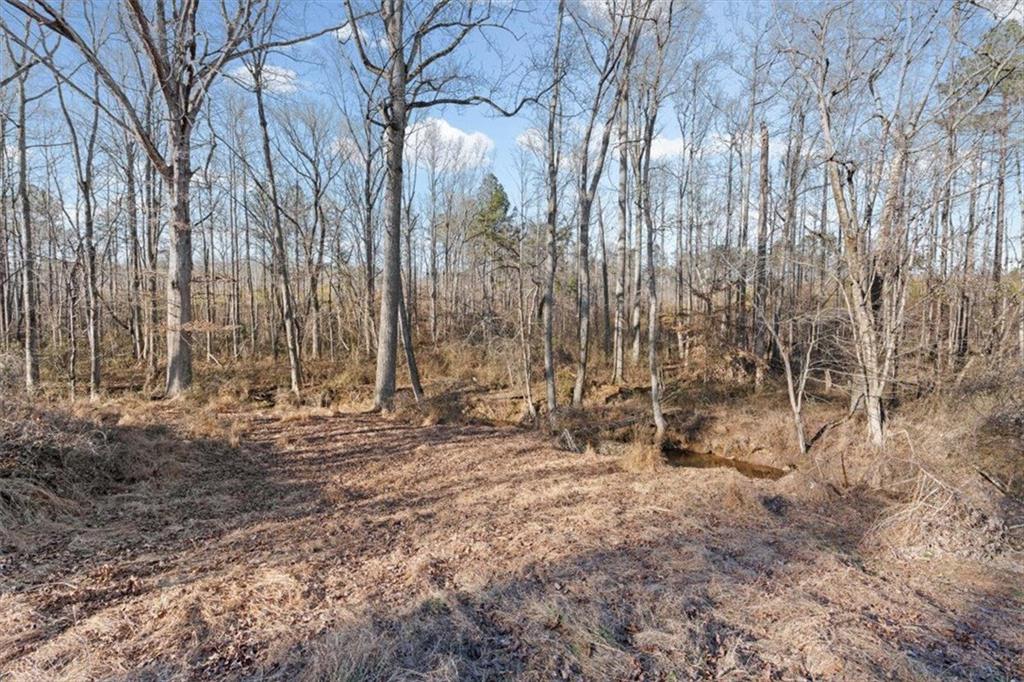 202 Sam House Road Bremen, GA 30110 - Photo 35 of 49