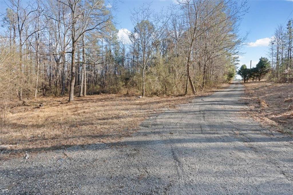 202 Sam House Road Bremen, GA 30110 - Photo 4 of 49