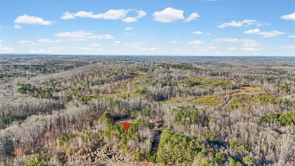 202 Sam House Road Bremen, GA 30110 - Photo 44 of 49