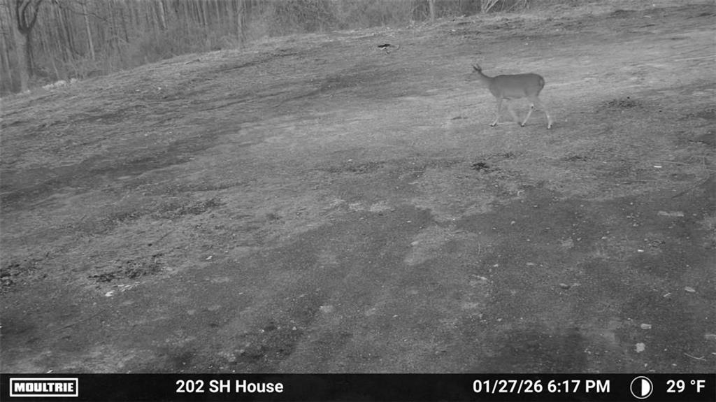 202 Sam House Road Bremen, GA 30110 - Photo 48 of 49