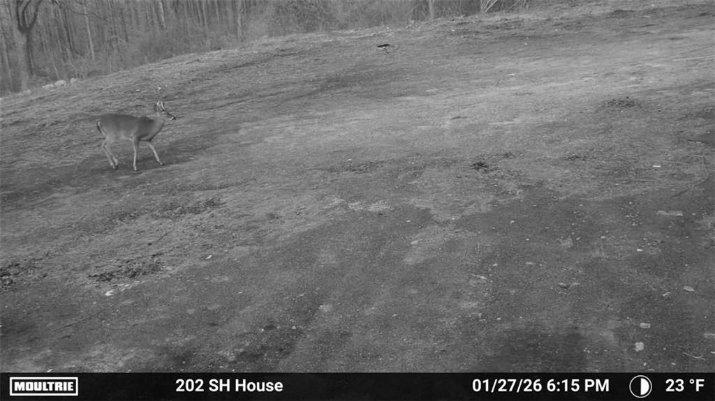 202 Sam House Road Bremen, GA 30110 - Photo 49 of 49