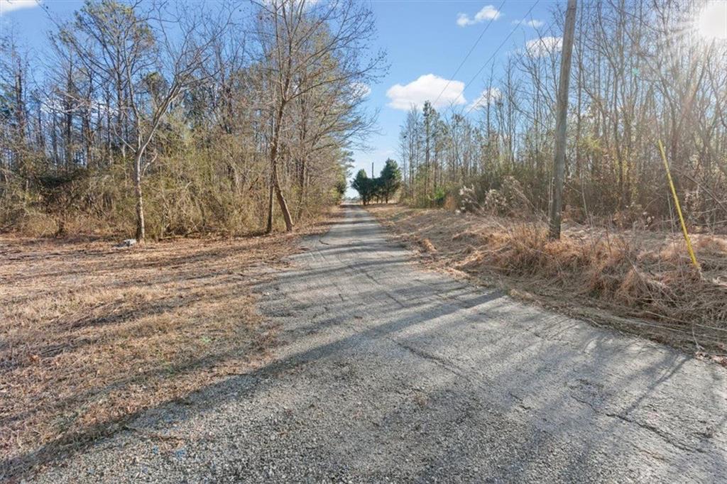 202 Sam House Road Bremen, GA 30110 - Photo 5 of 49