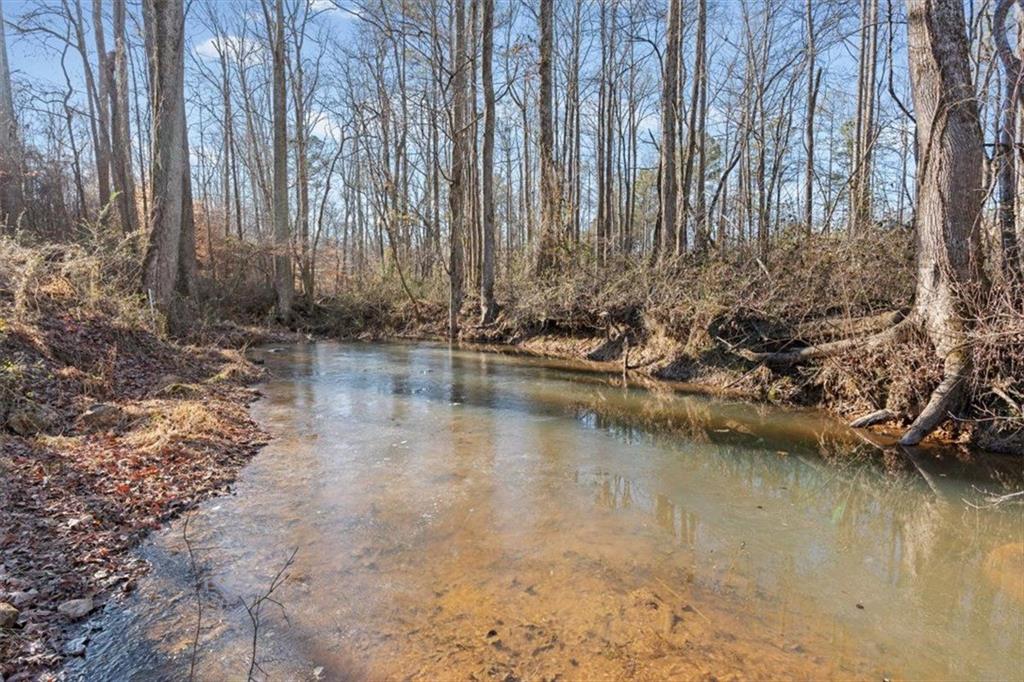 202 Sam House Road Bremen, GA 30110 - Photo 10 of 49