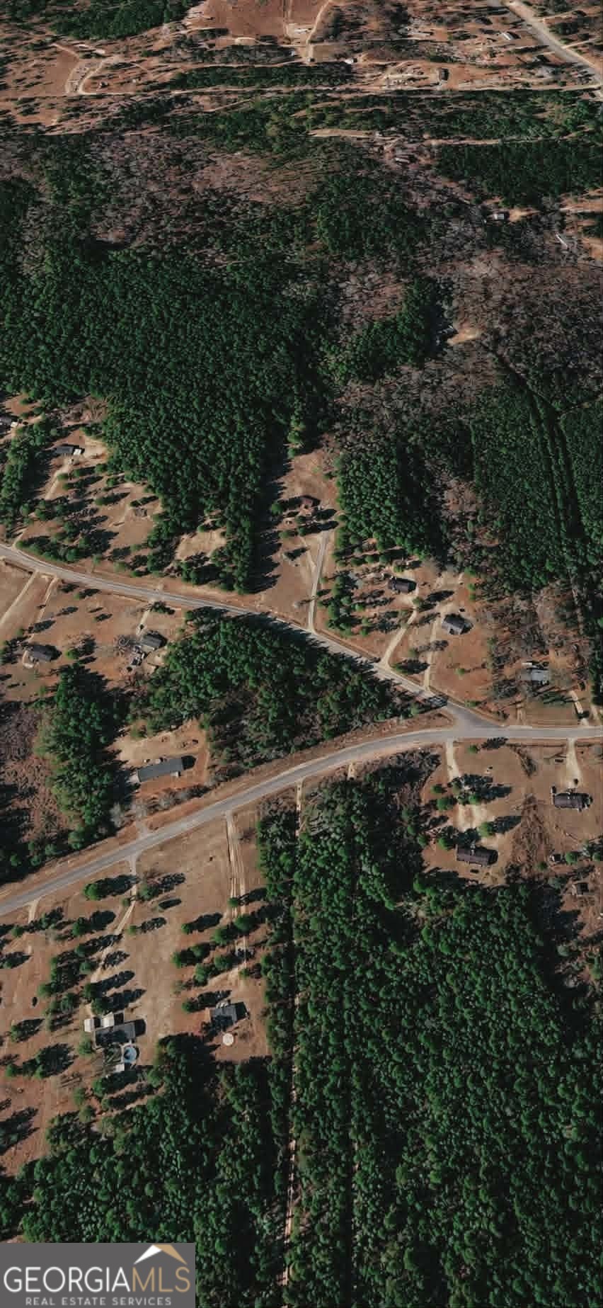 Lot 48 Pope Road Roberta, GA 31078 - Photo 2 of 3