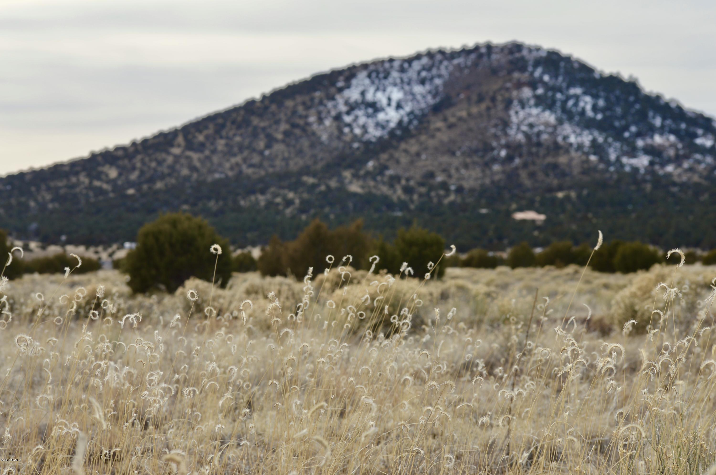 2872 East Spring Valley Road, Unit 3 Williams, AZ 86046 - Photo 4 of 14 fullsizeoutput_bc6