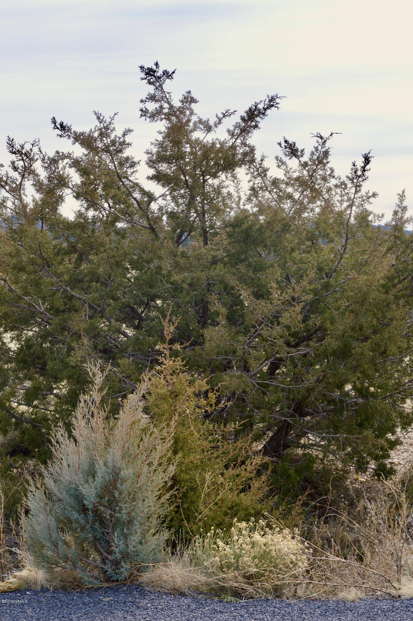 2872 East Spring Valley Road, Unit 3 Williams, AZ 86046 - Photo 6 of 14 fullsizeoutput_bc4