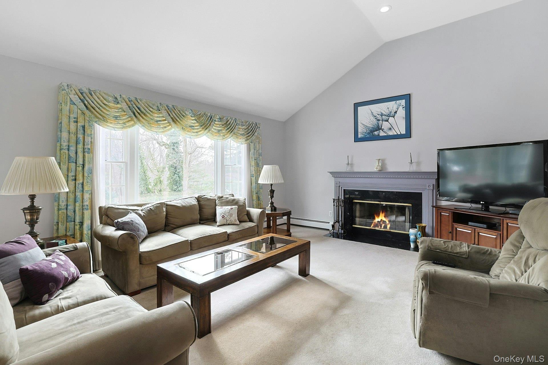 31 West Linwood Street Valhalla, NY 10595 - Photo 6 of 34 a living room with furniture a flat screen tv and a fireplace