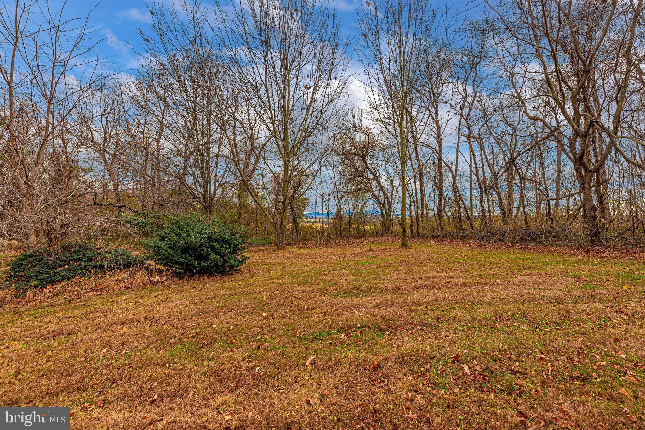 3209 Basford Road Frederick, MD 21703 - Photo 45 of 53