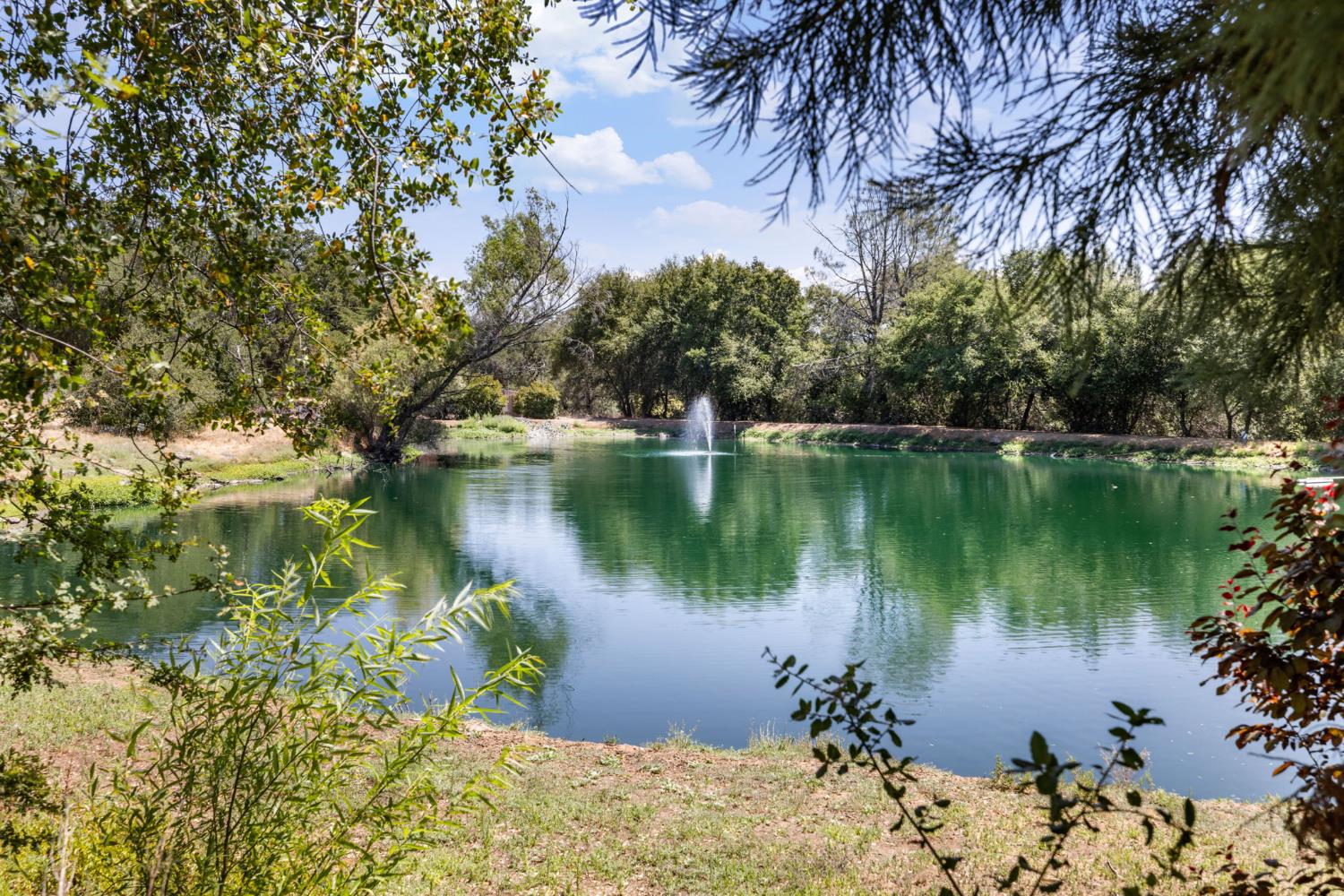 4700 Old French Town Road, Unit 64 Shingle Springs, CA 95682 - Photo 4 of 26 a body of water with a tree in the background